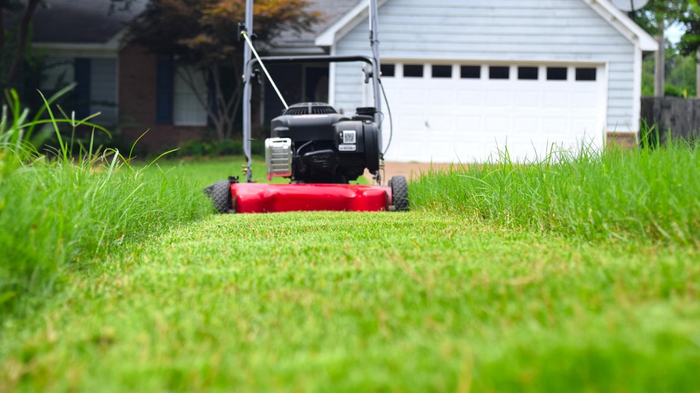 Know About Lawn Mowing